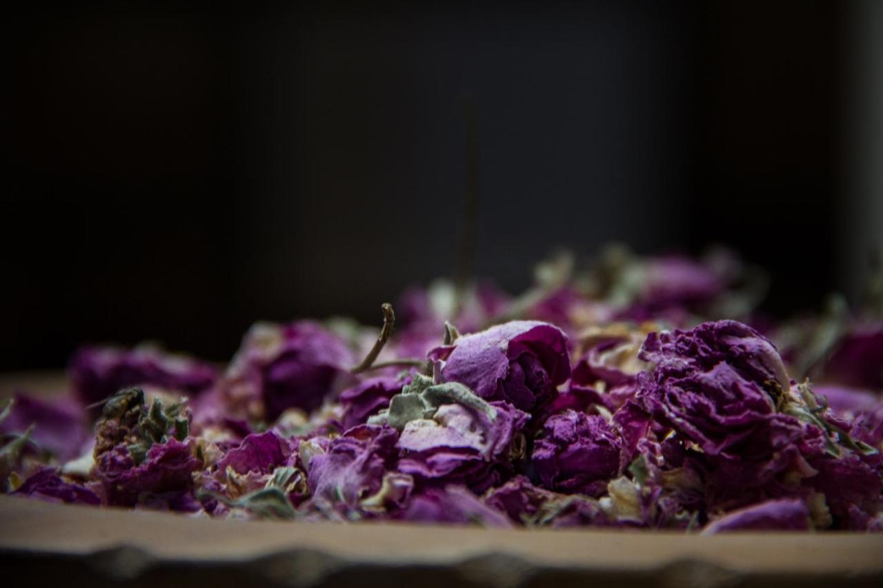 Riad Tama & Spa Warzazát Exteriér fotografie
