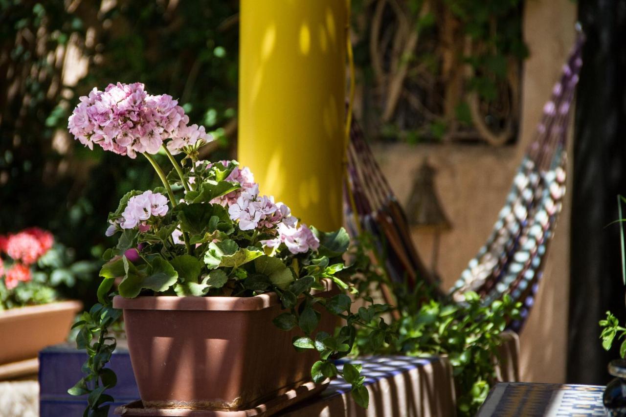 Riad Tama & Spa Warzazát Exteriér fotografie